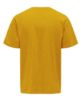Picture of Mens Round Neck
